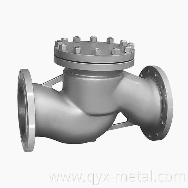 Titanium Lift Check Valve